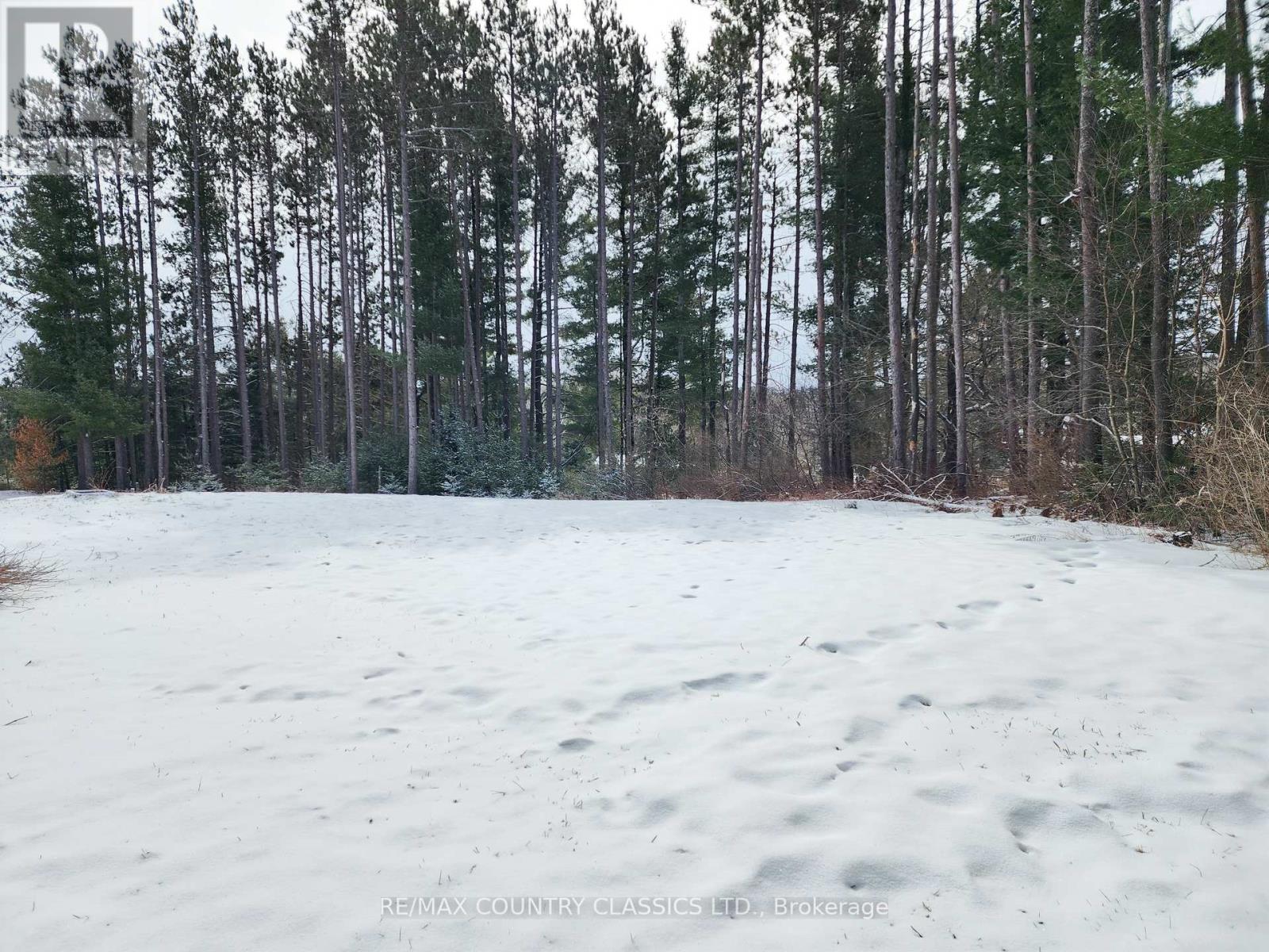 43 Norman Lane Property Photo 12