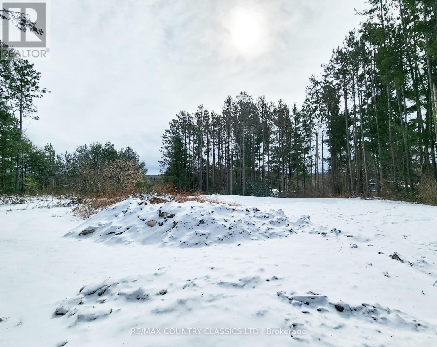 43 Norman Lane Property Photo 14