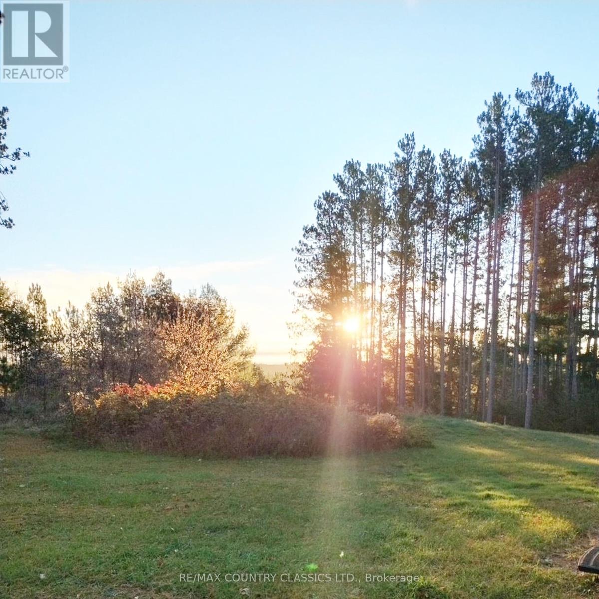 43 Norman Lane Property Photo 20