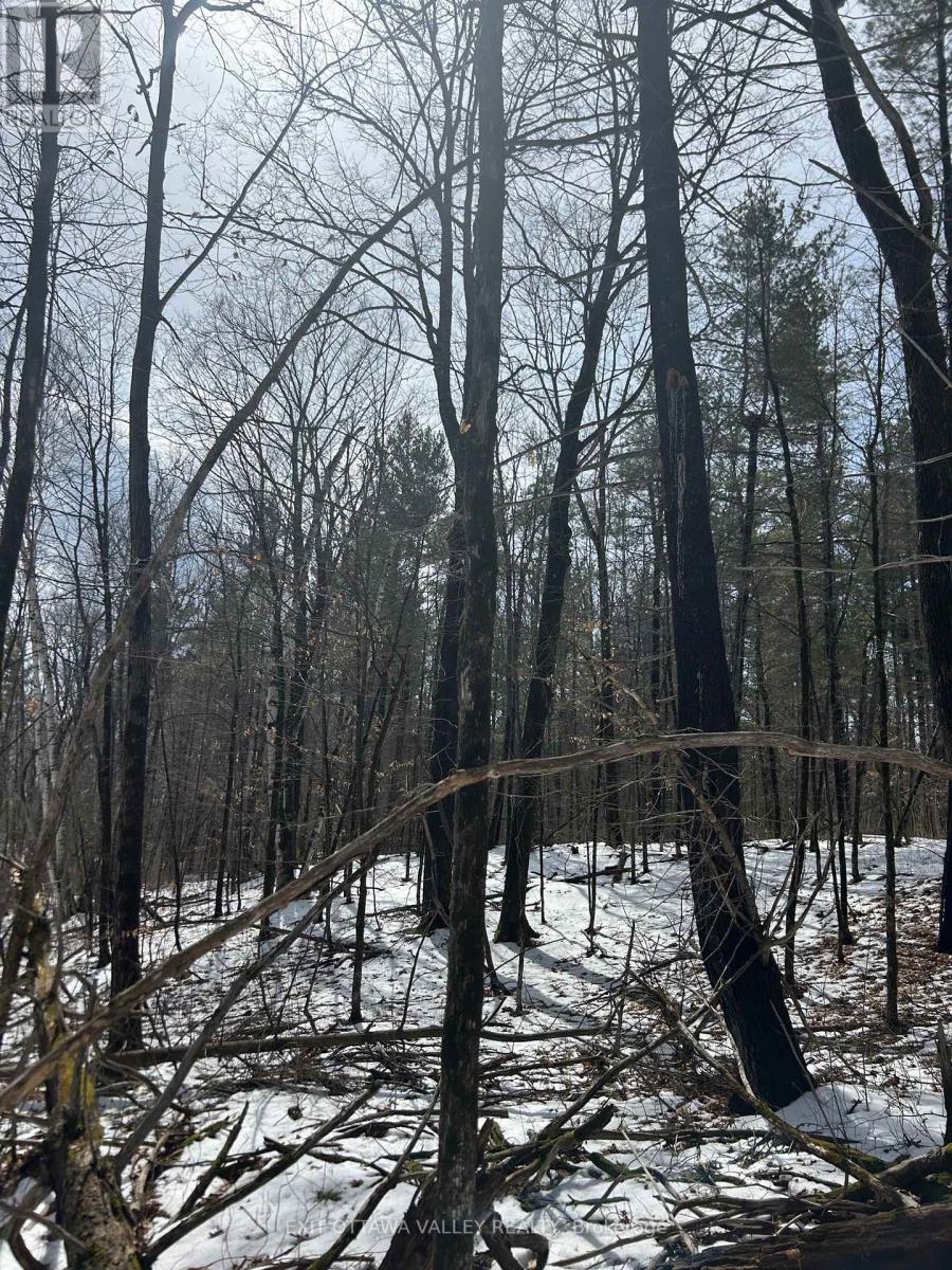 992 Mcgrath Road Property Photo 19