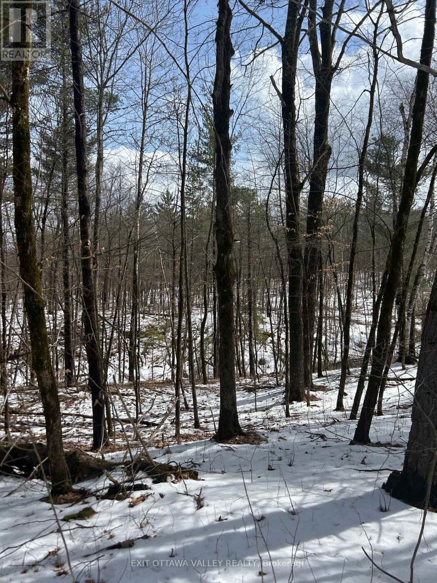 992 Mcgrath Road Property Photo 21