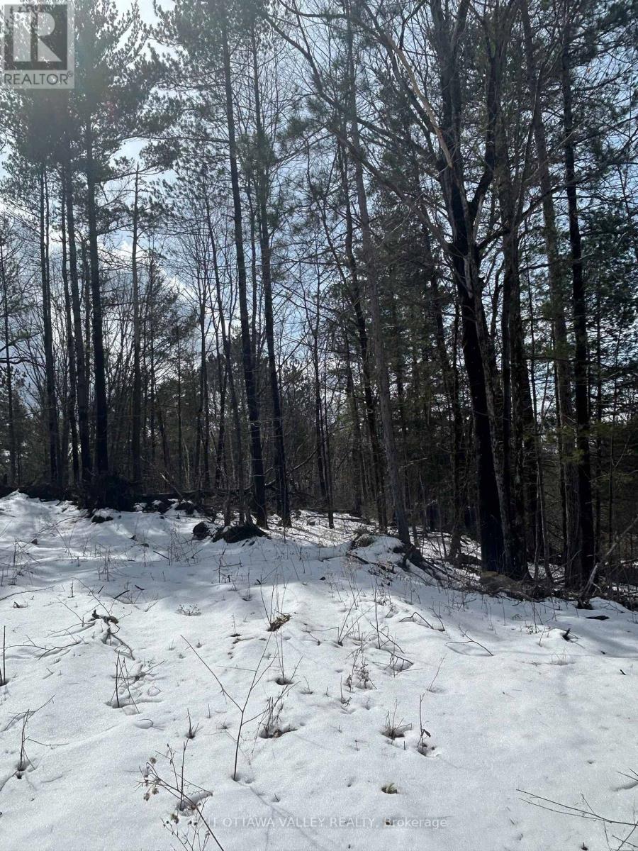 1042 Mcgrath Road Property Photo 18