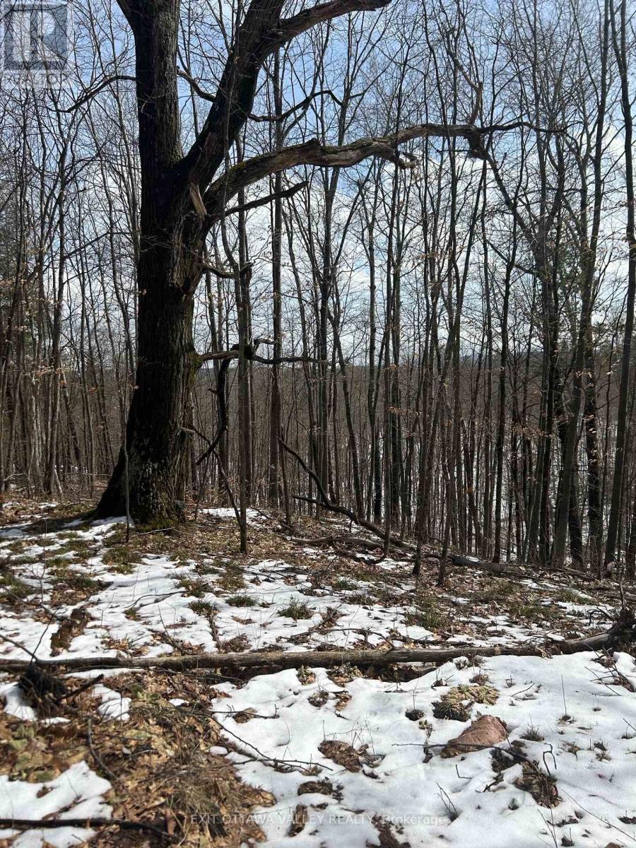 1042 Mcgrath Road Property Photo 22