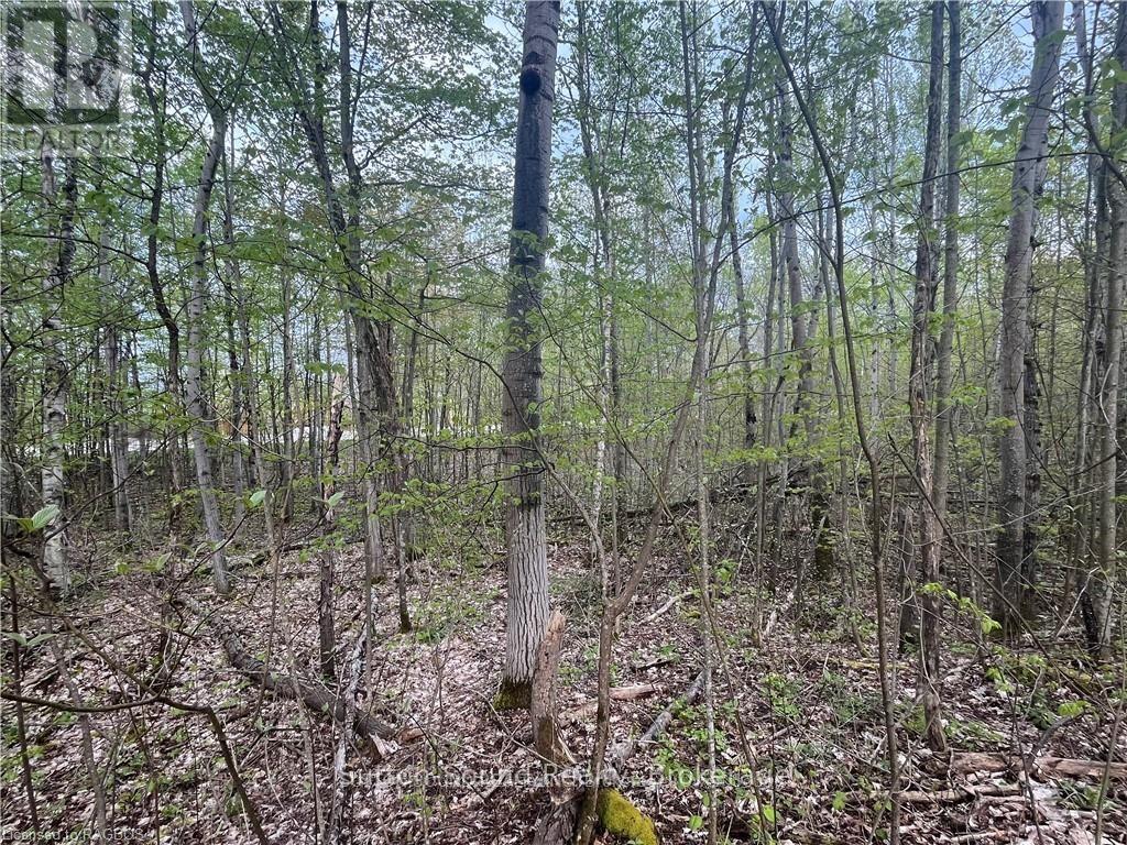 Lot 5 Grey Road 1 Property Photo 2
