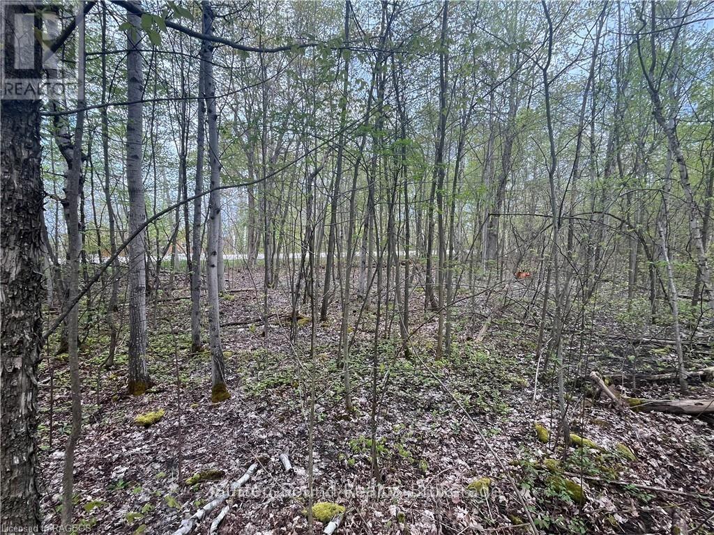 Lot 5 Grey Road 1 Property Photo 3