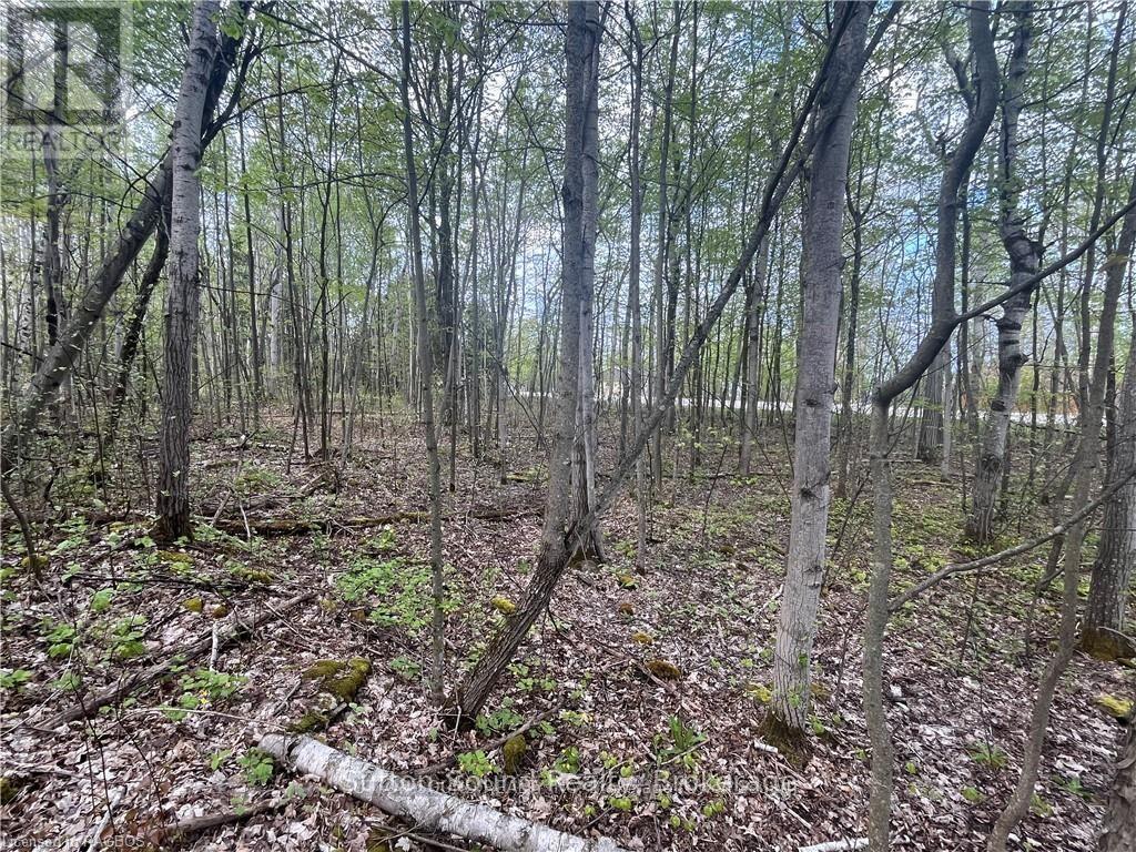 Lot 5 Grey Road 1 Property Photo 4