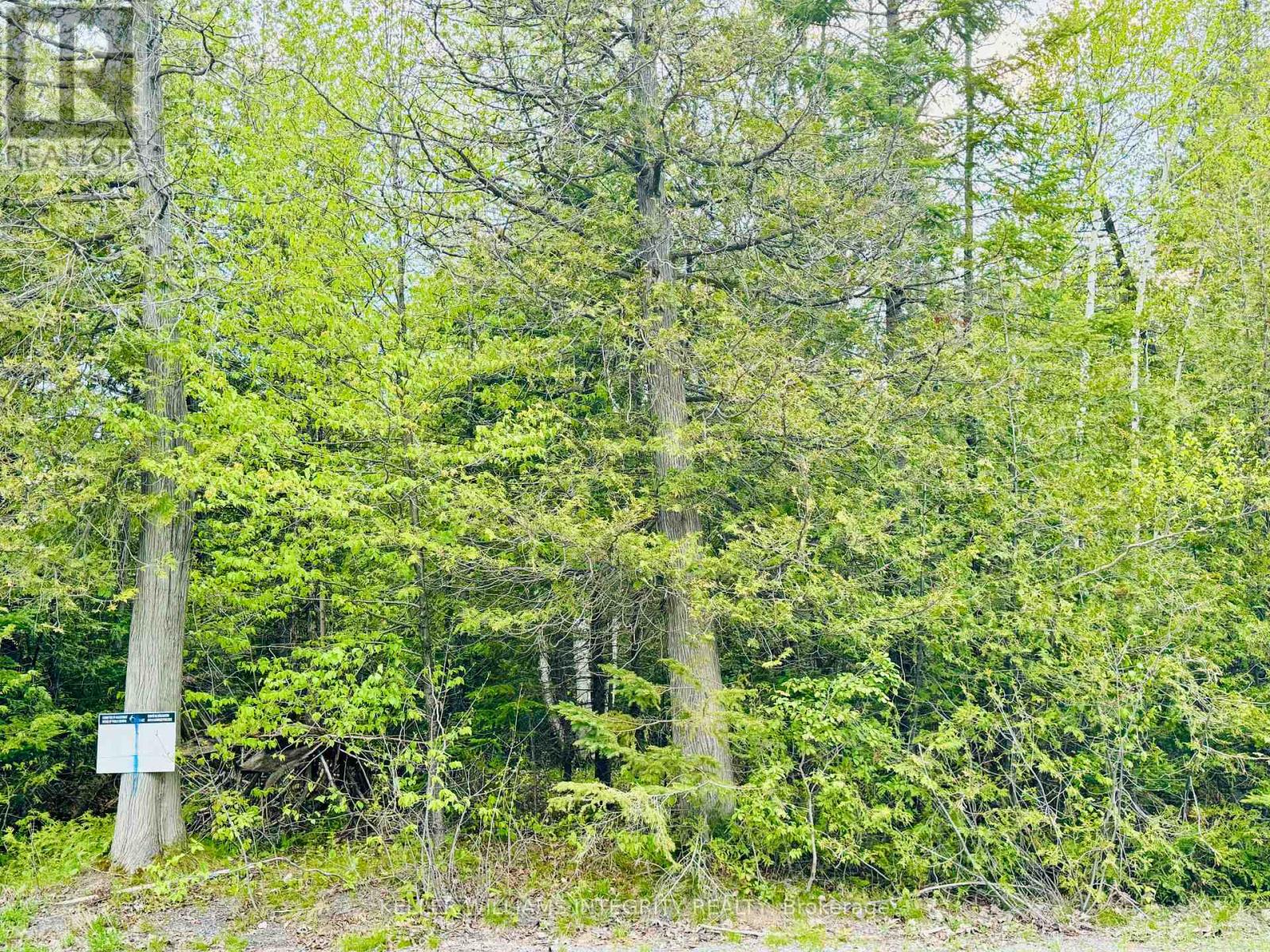 7110 Gallagher Road Property Photo 4