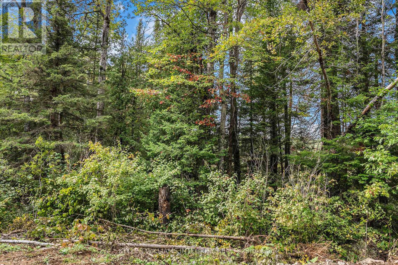 L14,15 Triple Tower Road Property Photo 40