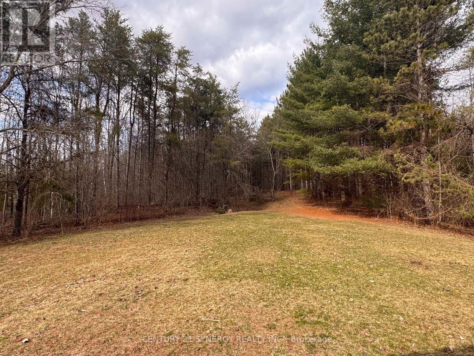 9093 County Rd 22 Road Property Photo 41