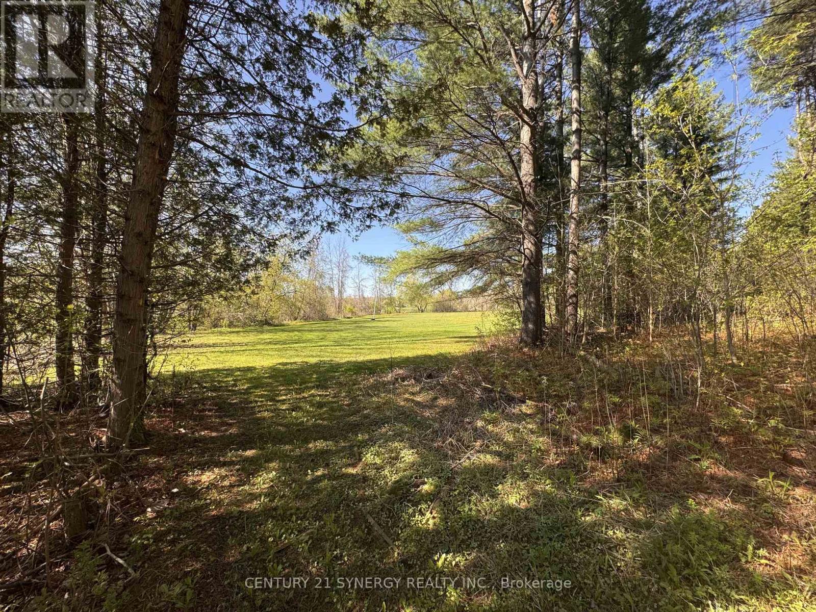 9093 County Rd 22 Road Property Photo 47
