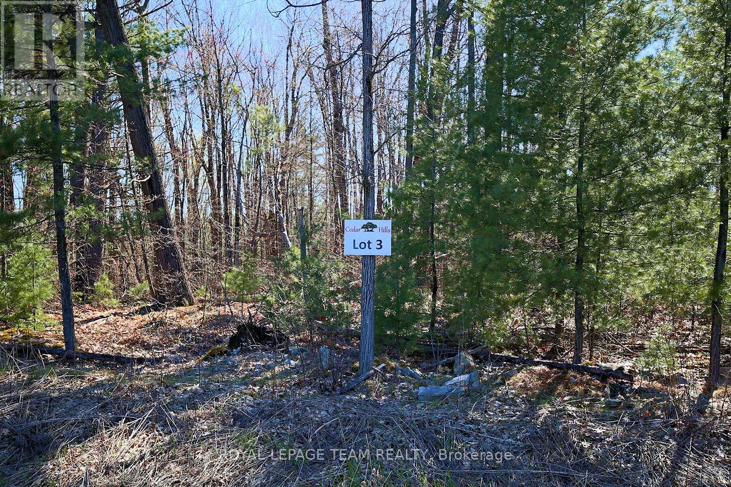 148 Derbeyshire Street Property Photo 7