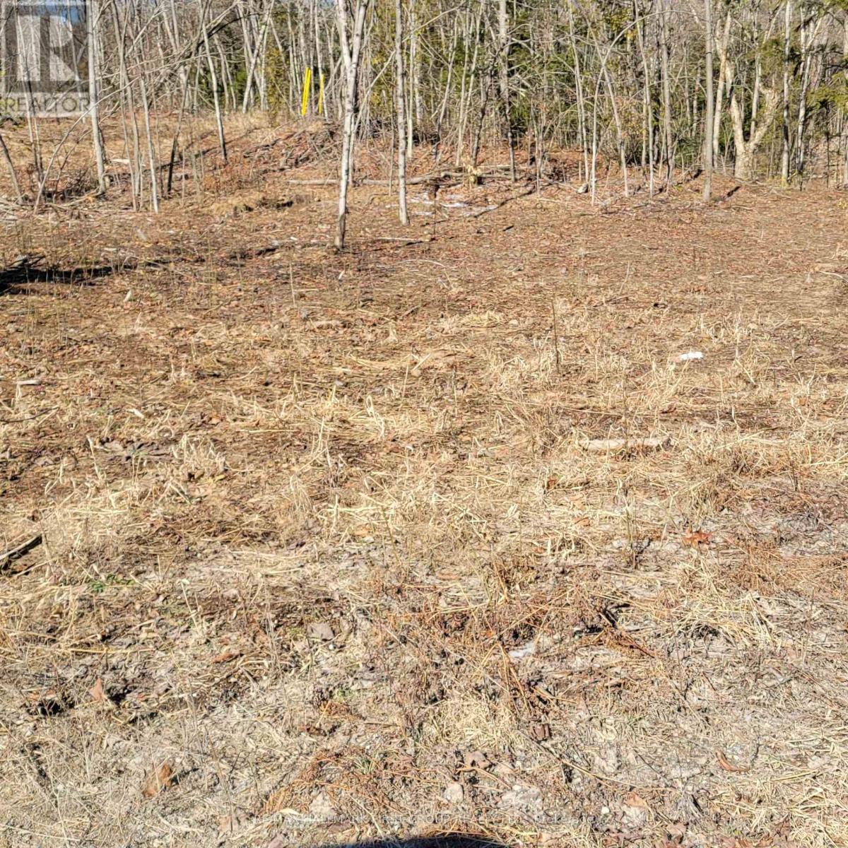 N/a Black River Road N Property Photo 2