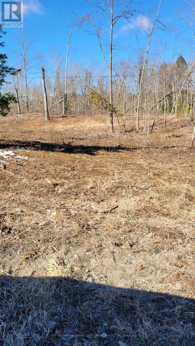 N/a Black River Road N Property Photo 5