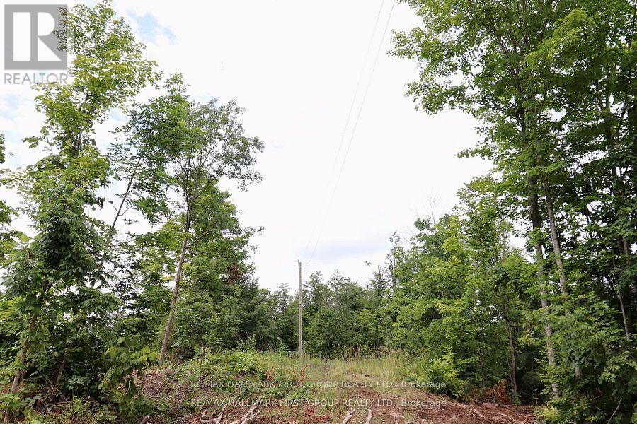 N/a Black River Road N Property Photo 9