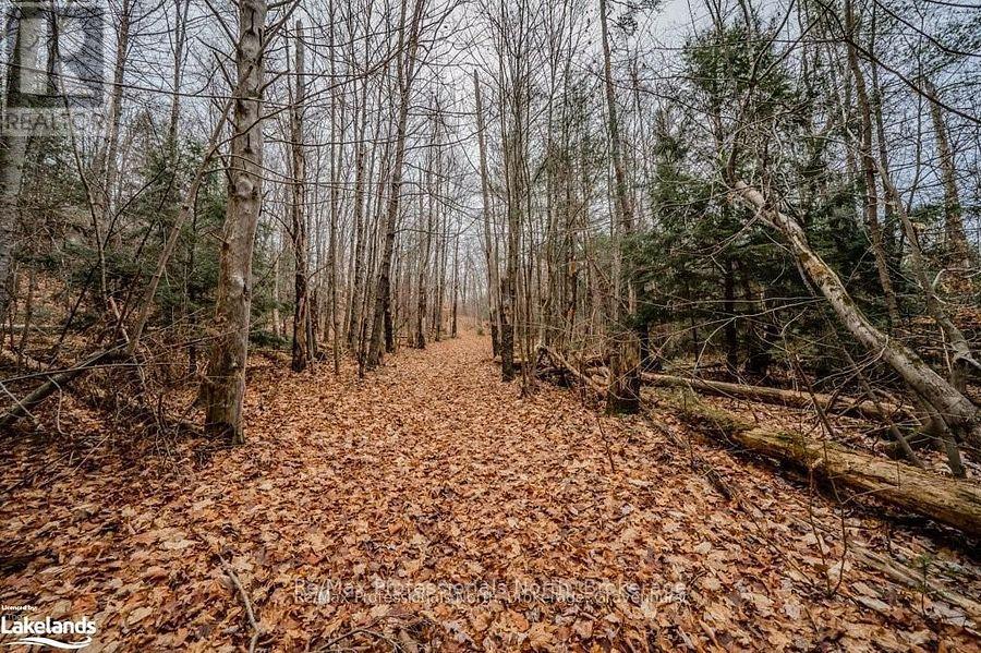 2180-2186 141 Highway Property Photo 23
