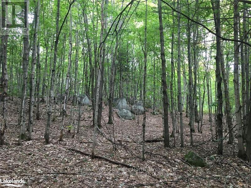 2180-2186 141 Highway Property Photo 25