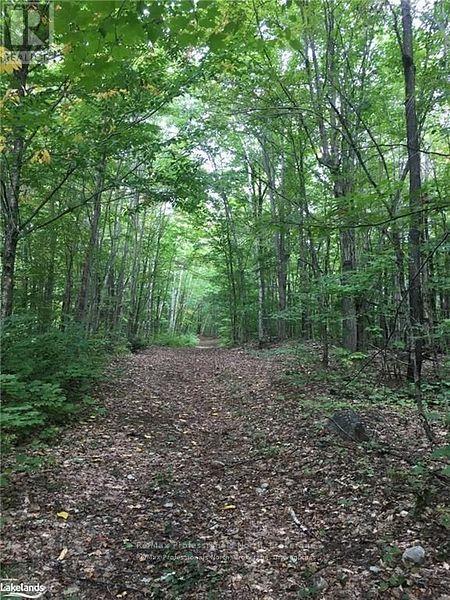 2180-2186 141 Highway Property Photo 27