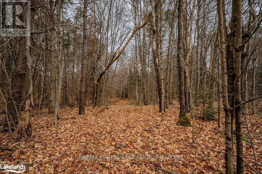 2180-2186 141 Highway Property Photo 28