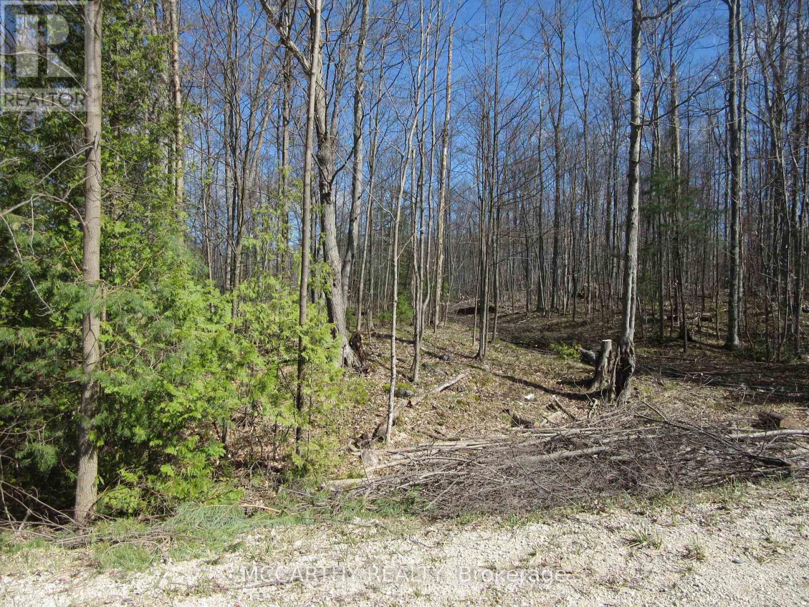 Lot 9 Pt Lt 25, Con Rd 8 Property Photo 4