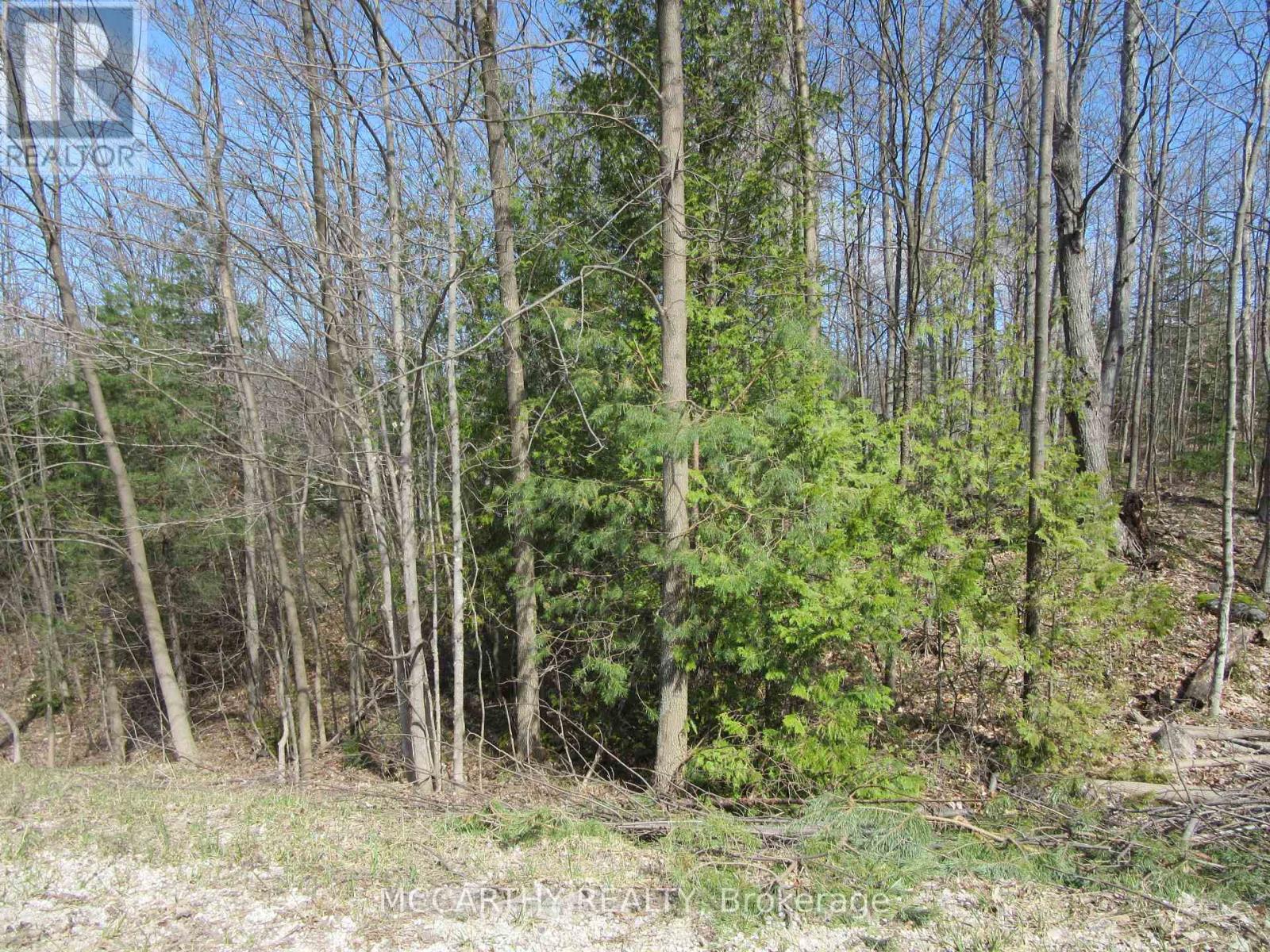 Lot 9 Pt Lt 25, Con Rd 8 Property Photo 5