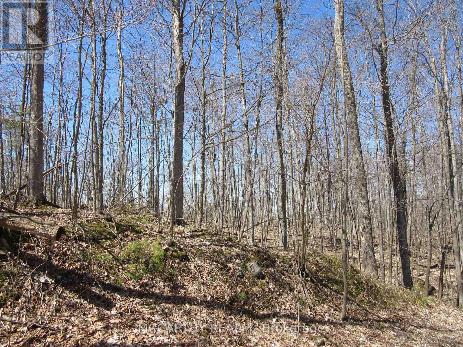 Lot 9 Pt Lt 25, Con Rd 8 Property Photo 14