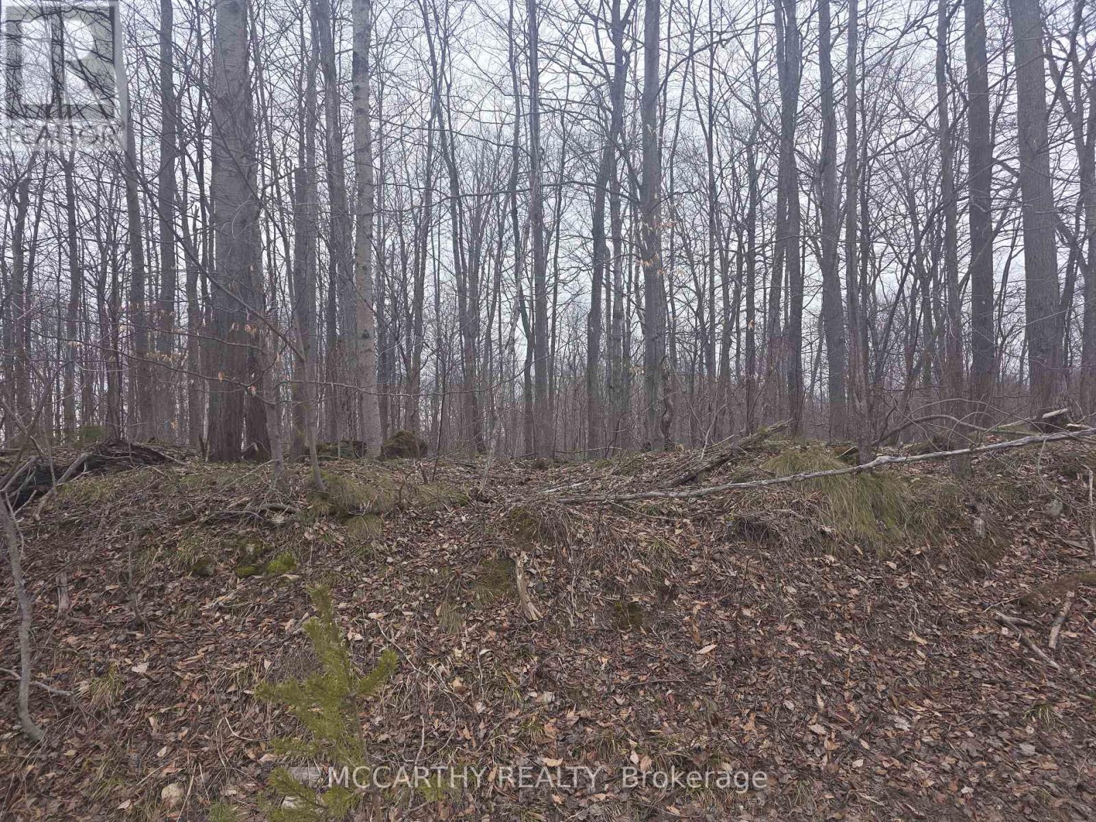 Lot 9 Pt Lt 25, Con Rd 8 Property Photo 16