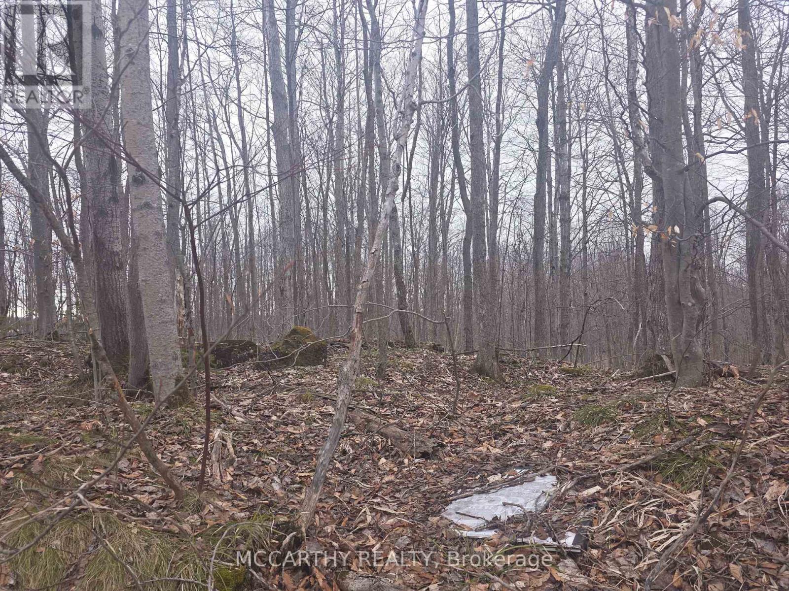 Lot 9 Pt Lt 25, Con Rd 8 Property Photo 17