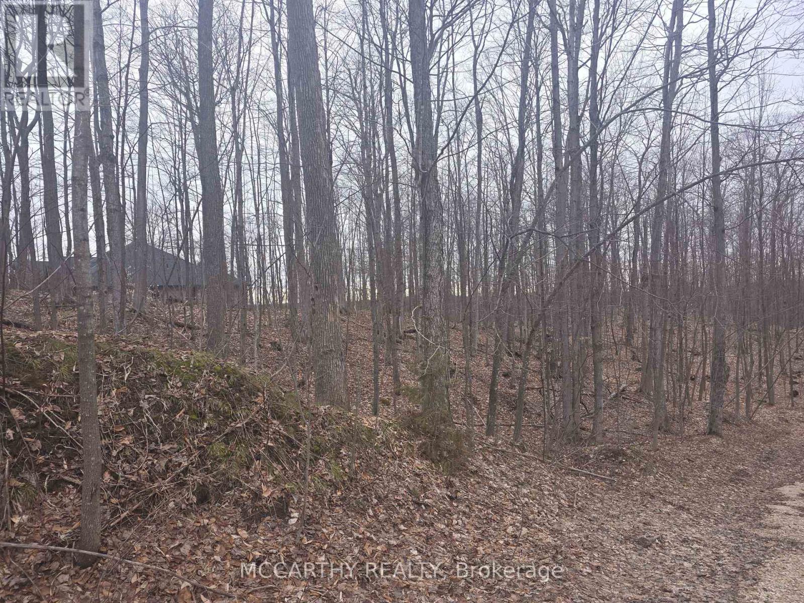 Lot 9 Pt Lt 25, Con Rd 8 Property Photo 18