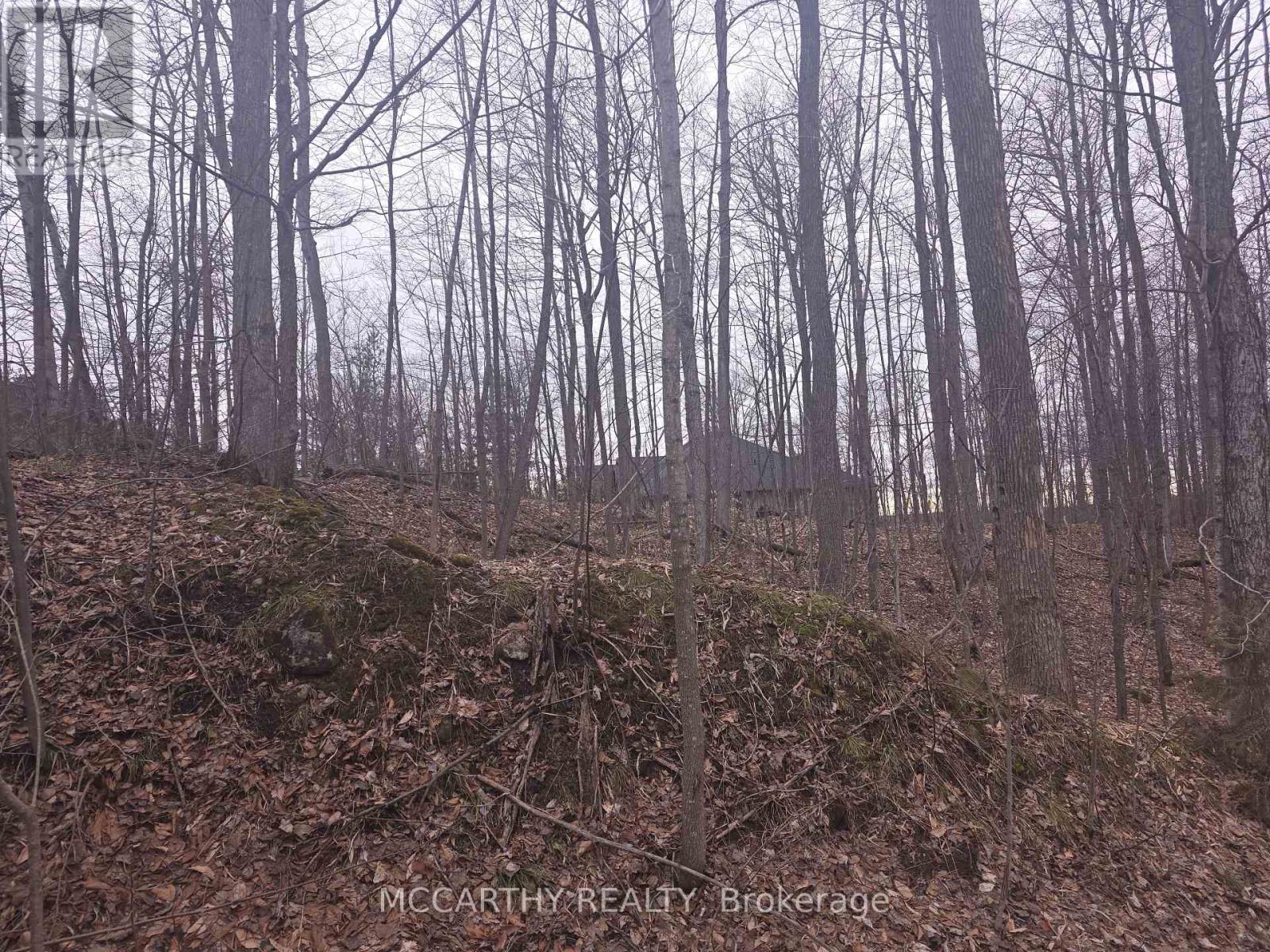Lot 9 Pt Lt 25, Con Rd 8 Property Photo 19
