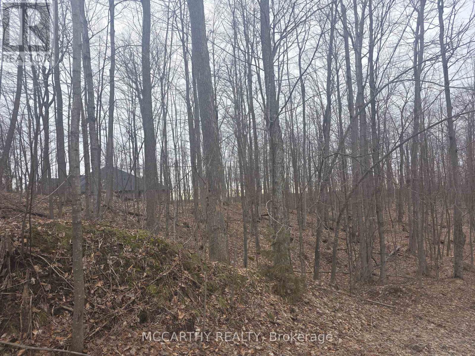 Lot 9 Pt Lt 25, Con Rd 8 Property Photo 20