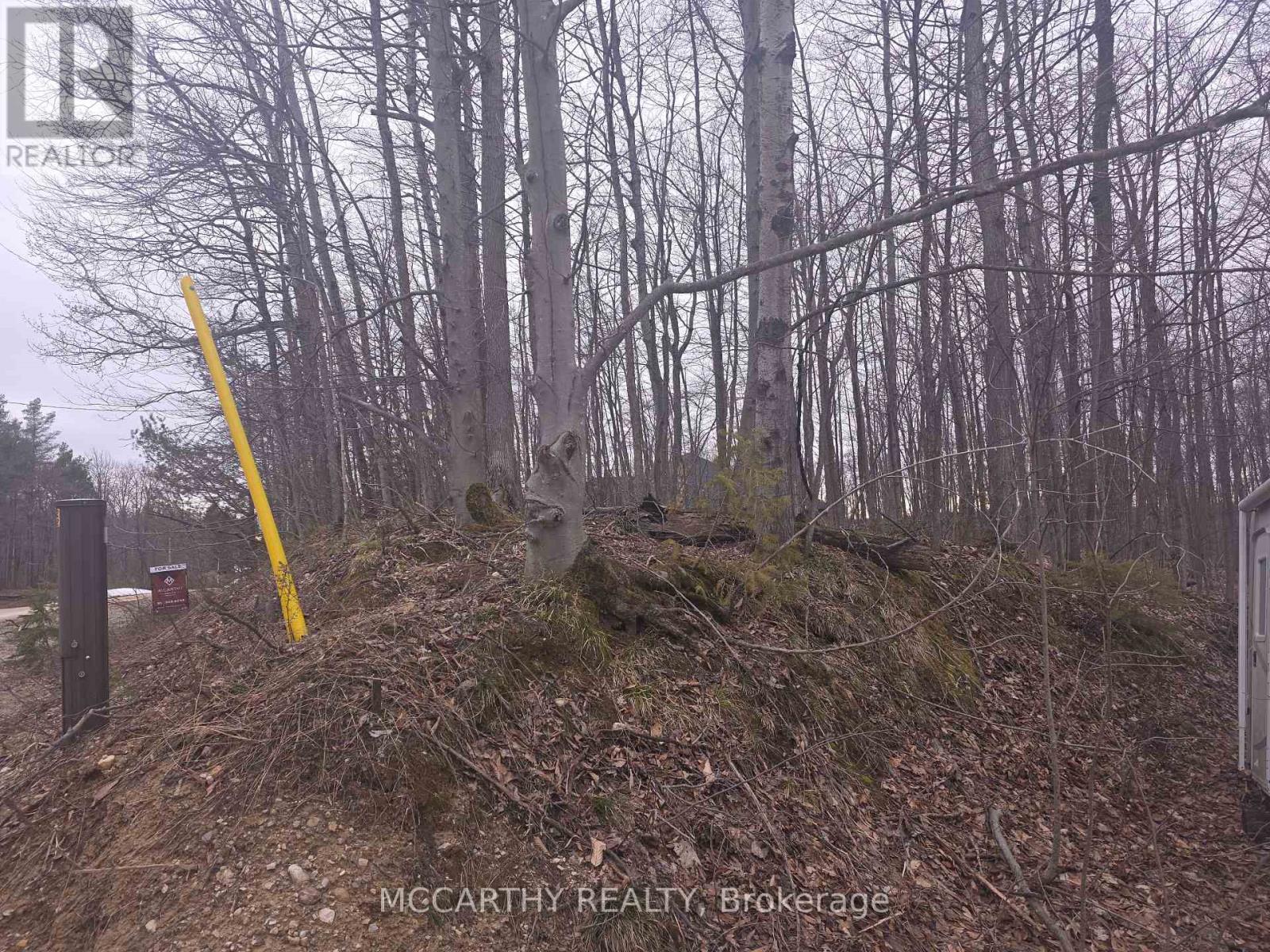 Lot 9 Pt Lt 25, Con Rd 8 Property Photo 22
