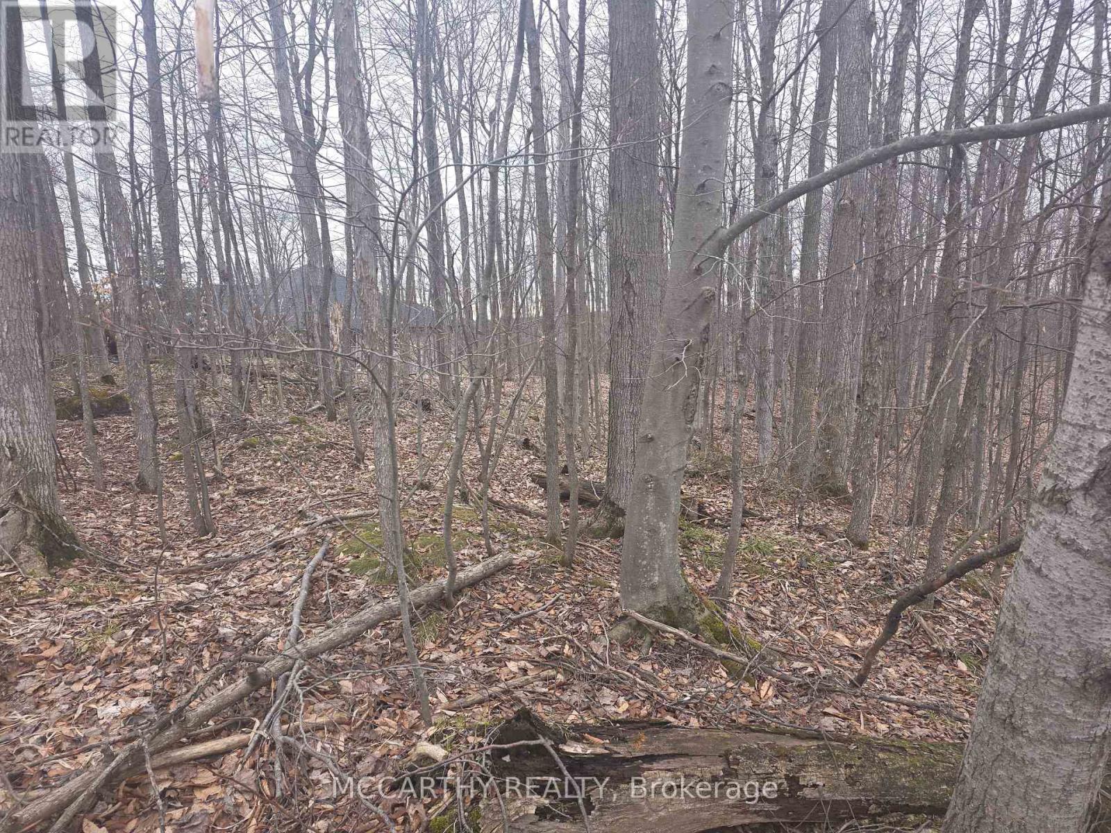 Lot 9 Pt Lt 25, Con Rd 8 Property Photo 23