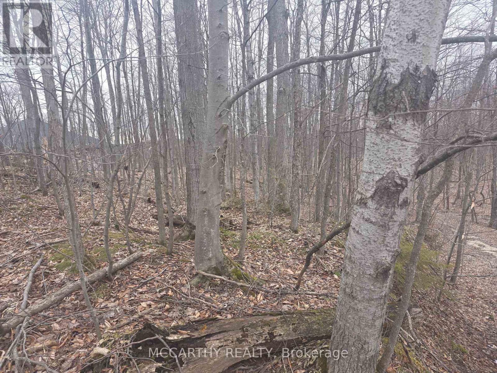 Lot 9 Pt Lt 25, Con Rd 8 Property Photo 24