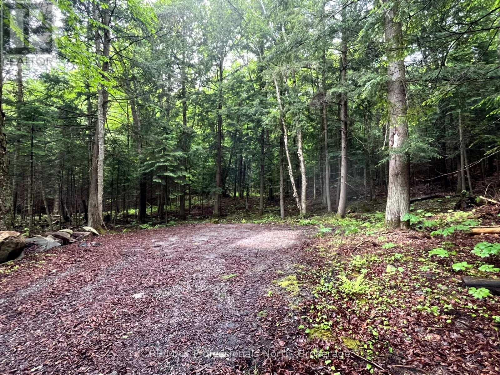 Tbd County 21 Road Property Photo 1