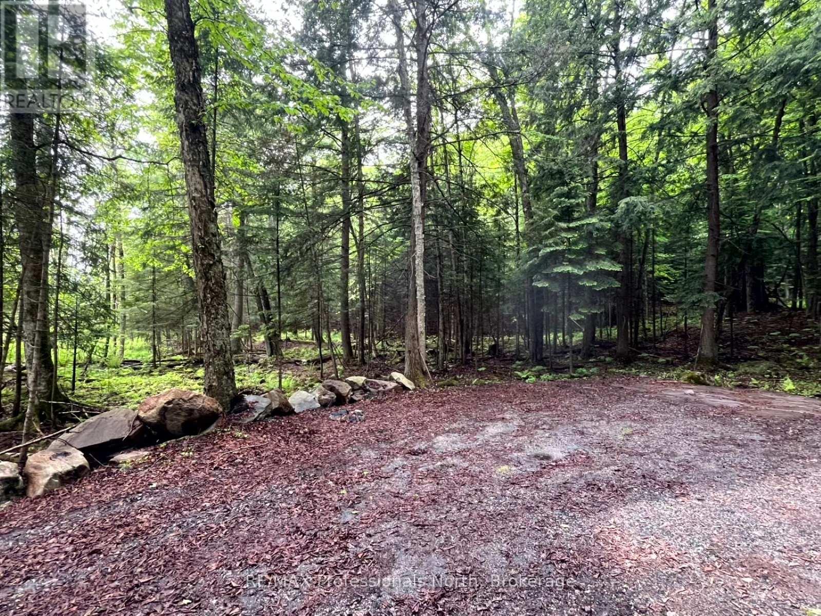 Tbd County 21 Road Property Photo 2