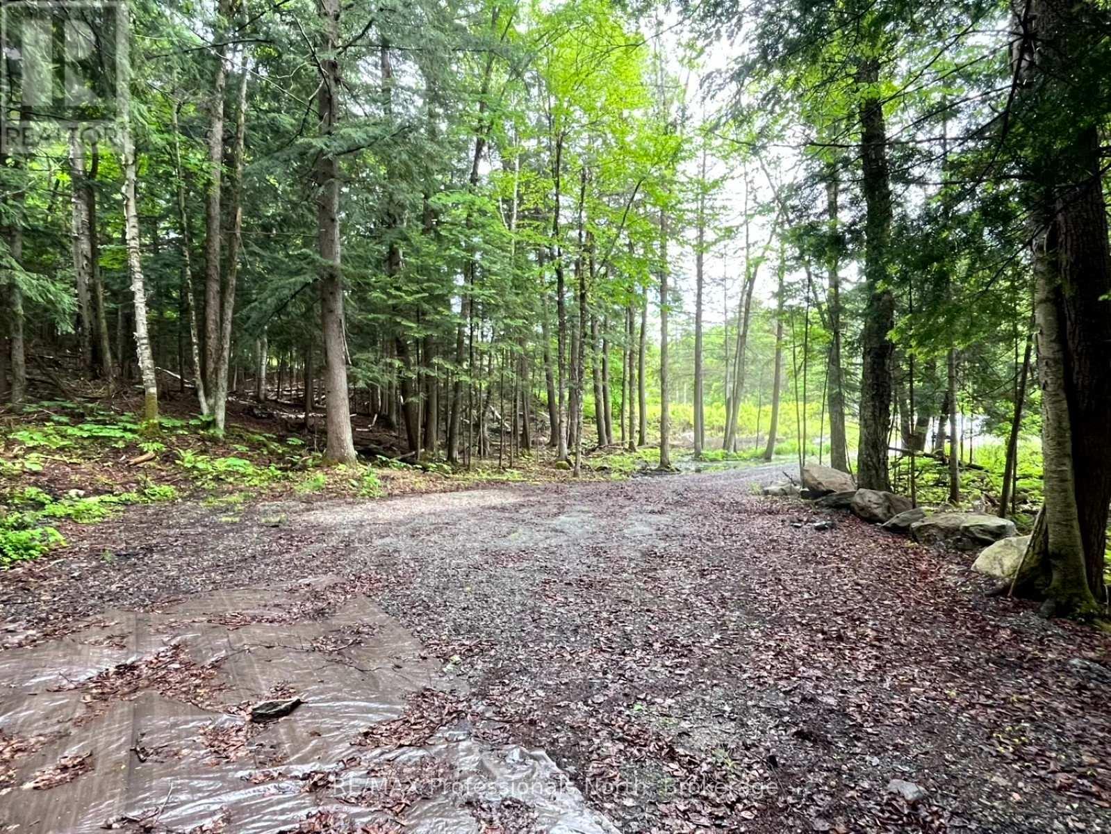 Tbd County 21 Road Property Photo 4
