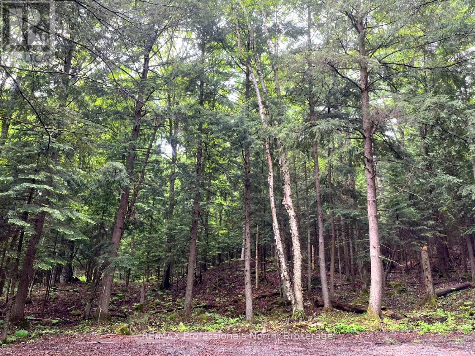 Tbd County 21 Road Property Photo 7