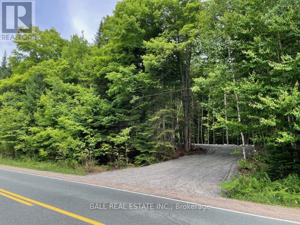 1350 Haliburton Lake Rd Property Photo 1