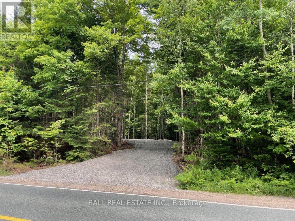 1350 Haliburton Lake Rd Property Photo 2