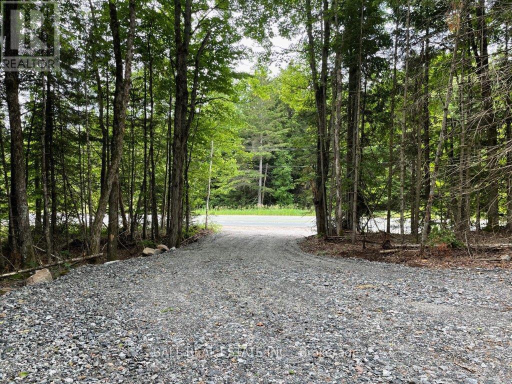 1350 Haliburton Lake Rd Property Photo 3