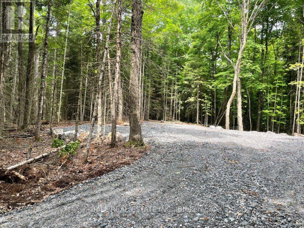 1350 Haliburton Lake Rd Property Photo 4