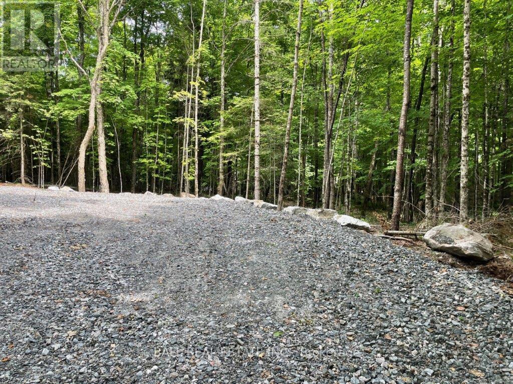 1350 Haliburton Lake Rd Property Photo 5