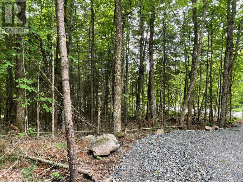 1350 Haliburton Lake Rd Property Photo 6