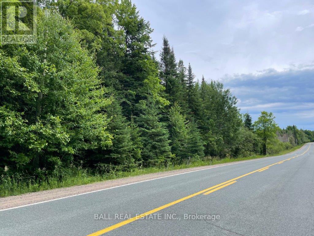 1350 Haliburton Lake Rd Property Photo 20