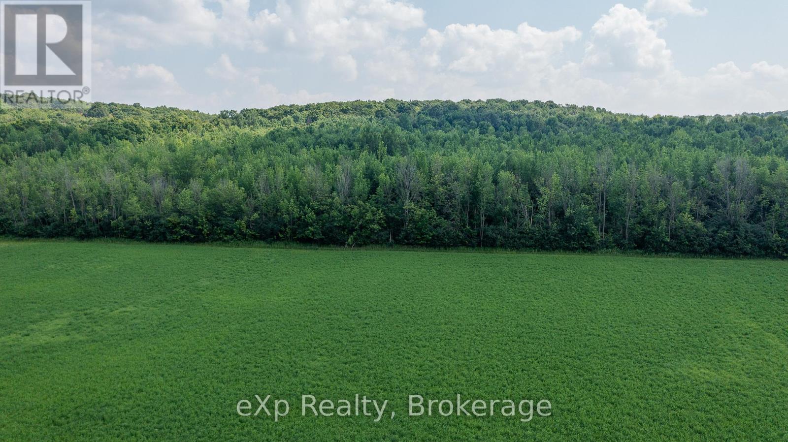 Con 11 Pt Lot 7, Sideroad 8 Property Photo 3