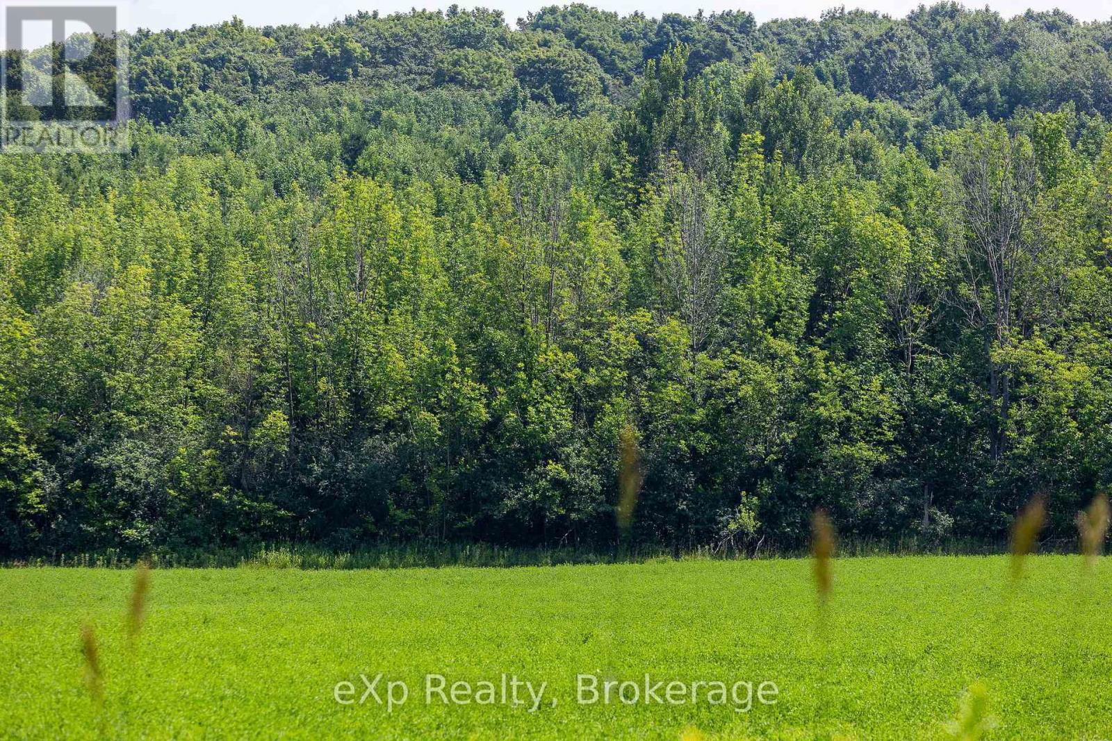 Con 11 Pt Lot 7, Sideroad 8 Property Photo 5