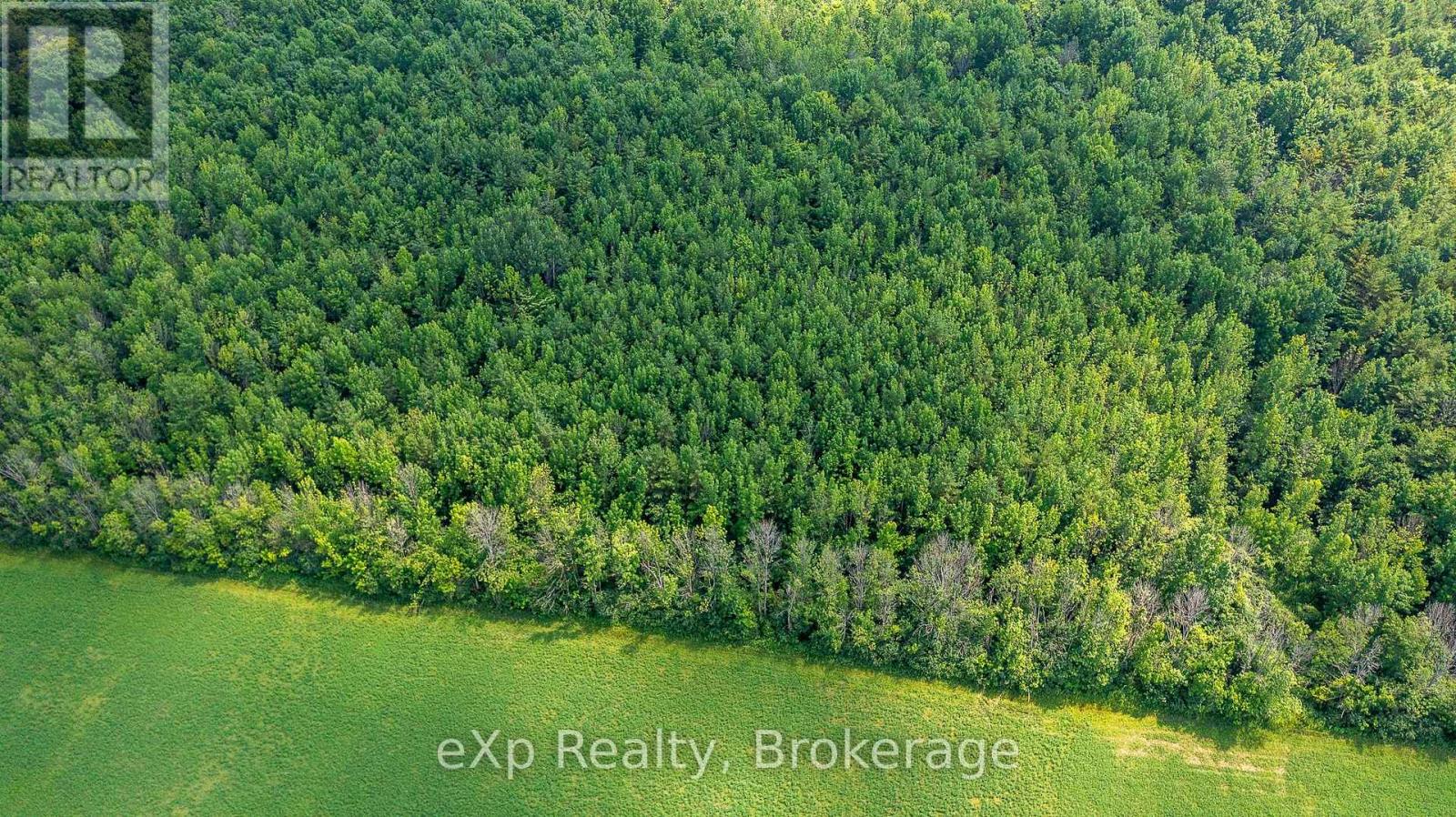 Con 11 Pt Lot 7, Sideroad 8 Property Photo 6