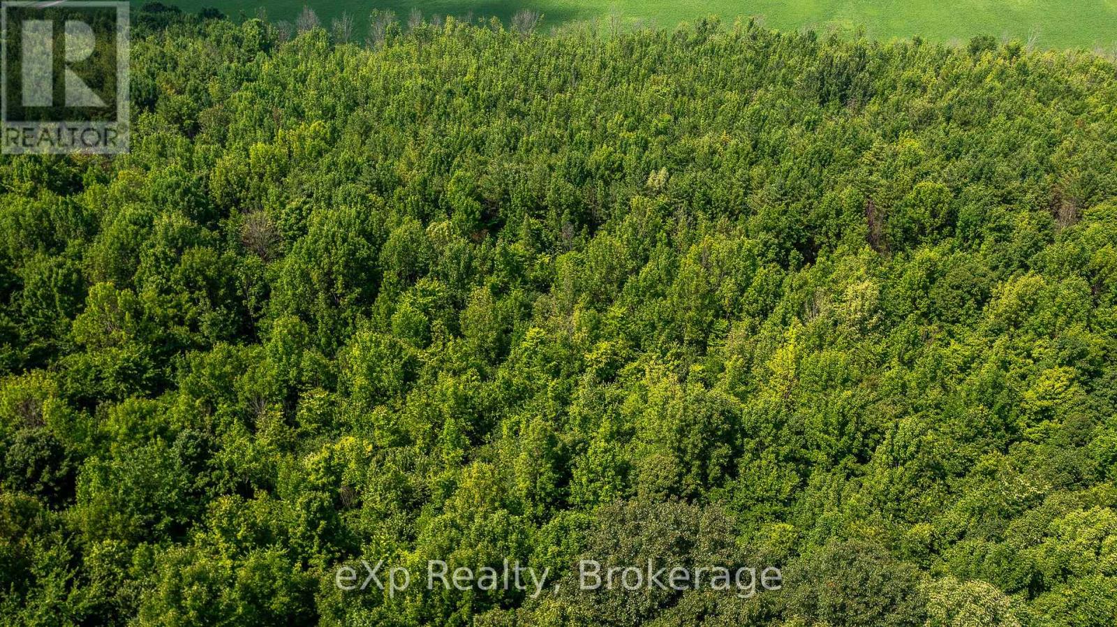 Con 11 Pt Lot 7, Sideroad 8 Property Photo 7