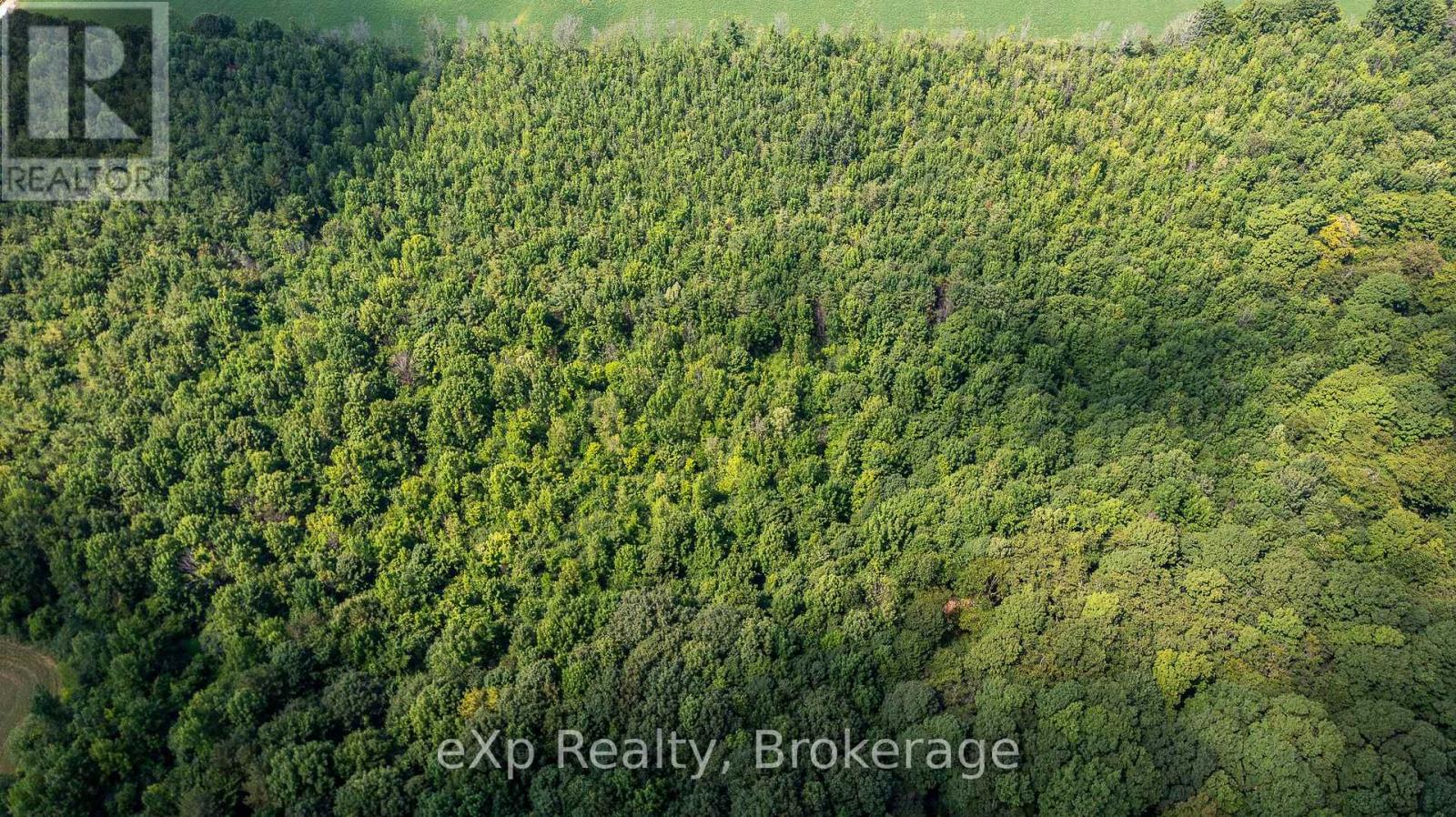 Con 11 Pt Lot 7, Sideroad 8 Property Photo 8