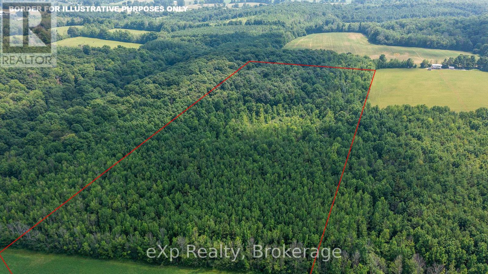 Con 11 Pt Lot 7, Sideroad 8 Property Photo 9